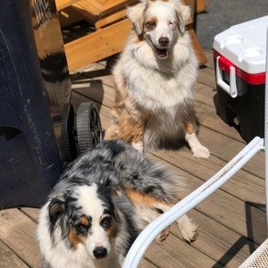 Meet your Posher, Maria